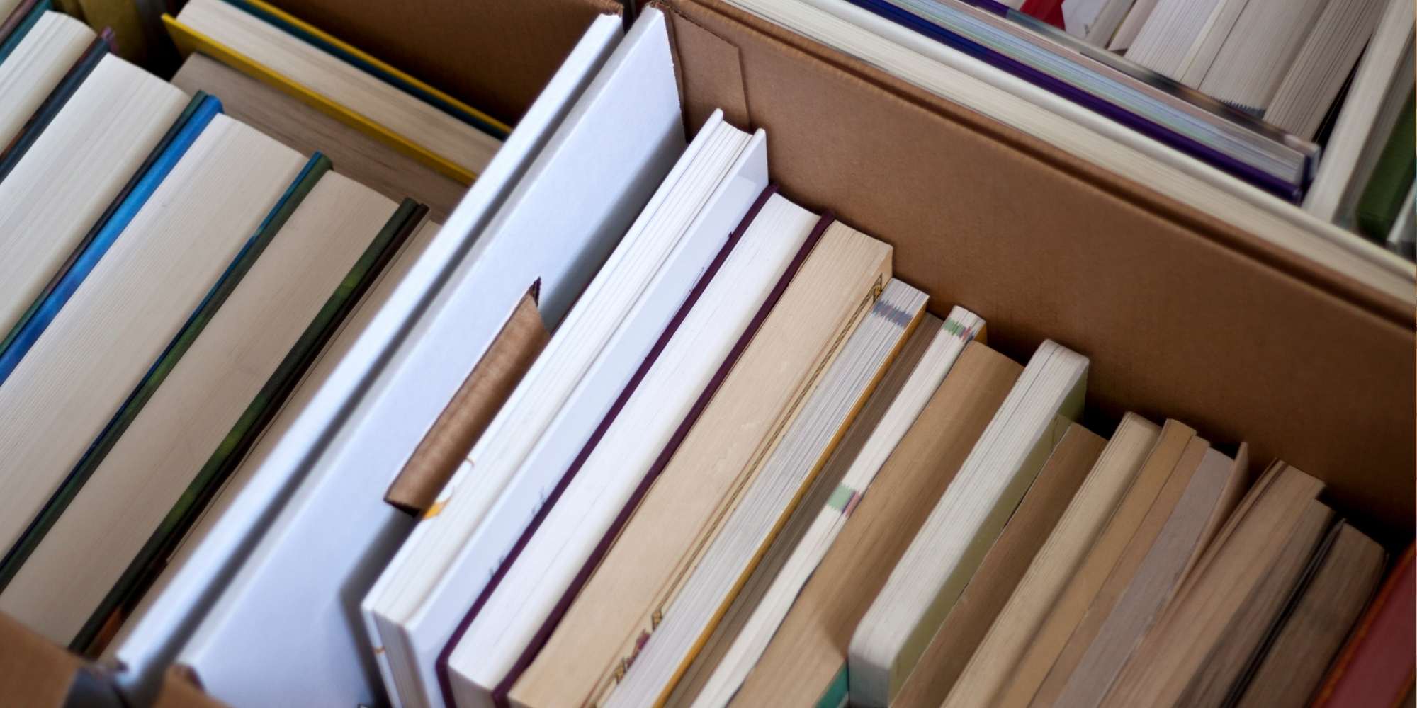 Image of a retail store shelf containing vitamins and supplements.